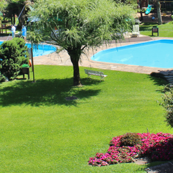 Jardim - Hotel Alpestre