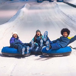 Snowland - Neve em Gramado